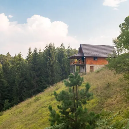 Brvnara Tarski Pogled * Bajina Basta