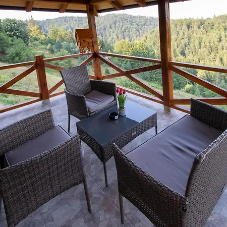 Brvnara Tarski Pogled * Bajina Basta