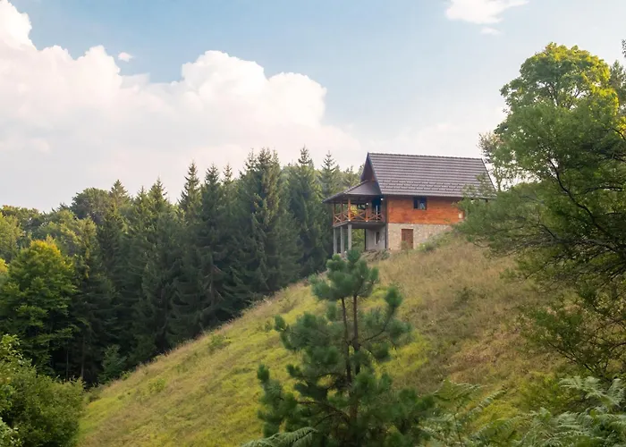 Brvnara Tarski Pogled * 바이나 바슈타