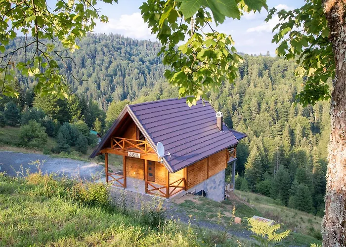 Brvnara Tarski Pogled 펜션