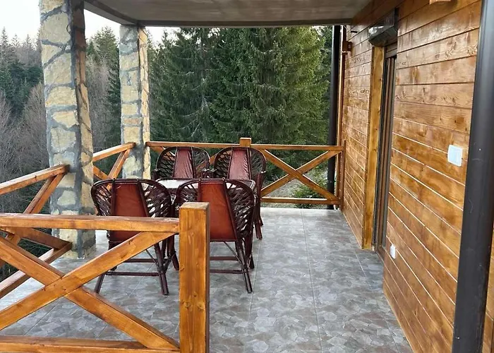 Brvnara Tarski Pogled 바이나 바슈타